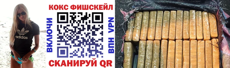 COCAIN 97%  omg ссылки  Емва  купить наркотики цена 