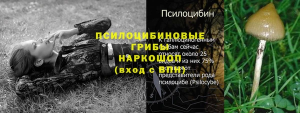 наркотики Кукмор