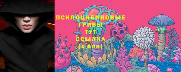 герыч Куйбышев
